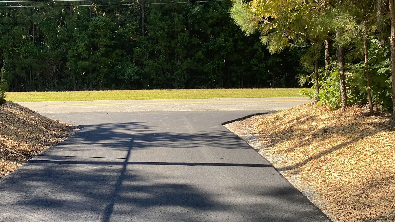 Fresh asphalt driveway running out to the road between pines and hardwoods