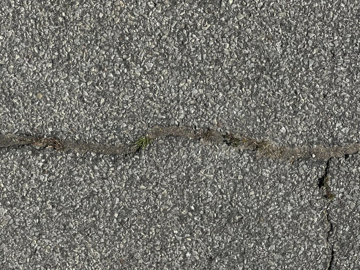 Close-up of an aging asphalt surface split by wide cracks with weeds growing through