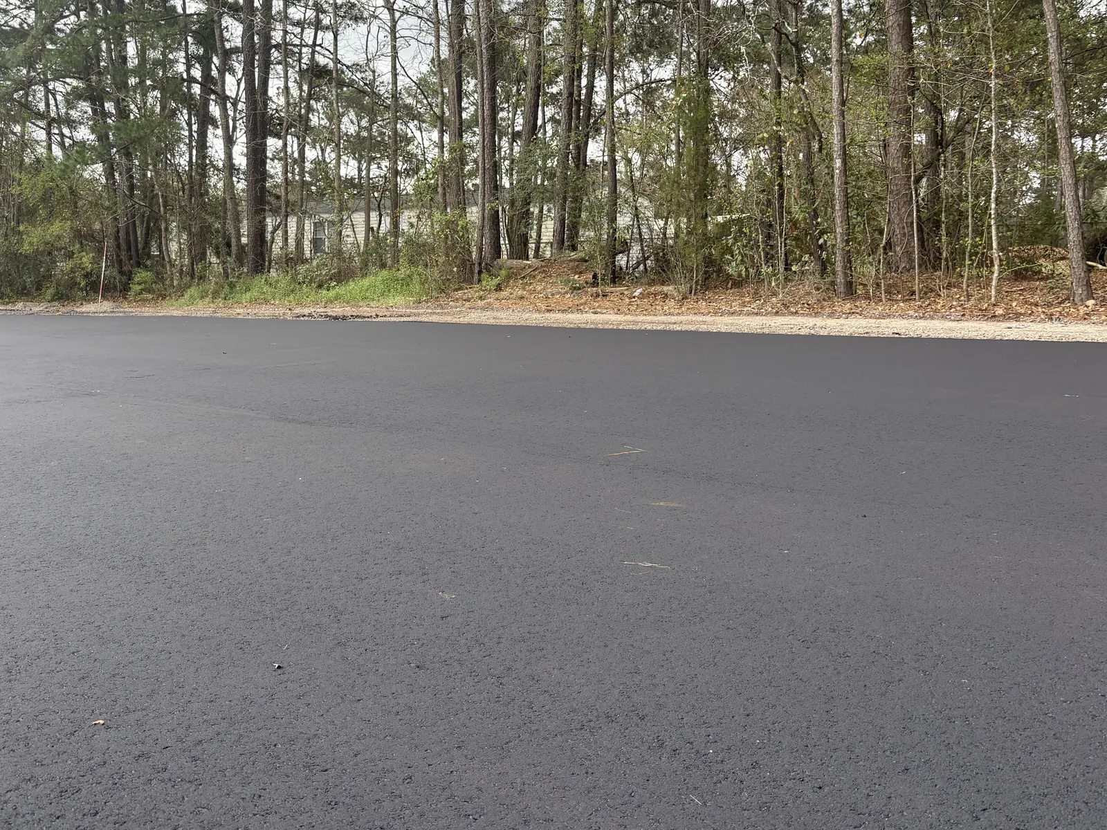 Wide sheet of freshly paved asphalt on a commercial lot backed by pines