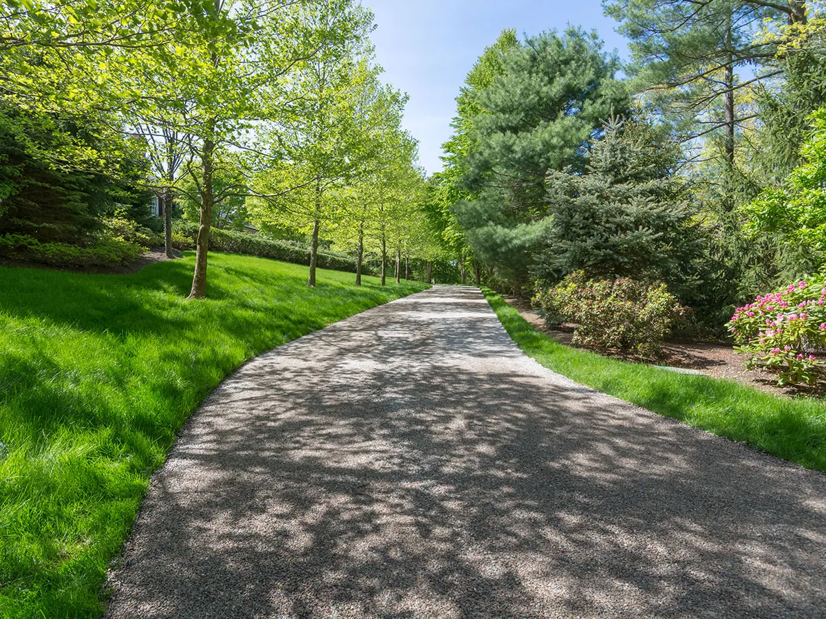 Chip seal driveway climbing between shrubs and hardwoods on a wooded property