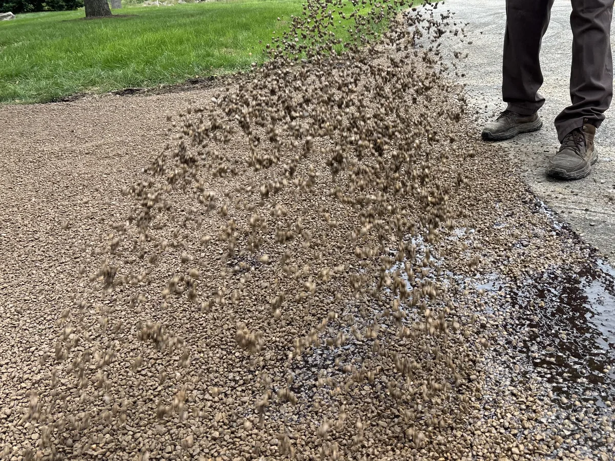 Stone chips being spread by shovel over fresh liquid asphalt at the edge of a chip seal drive